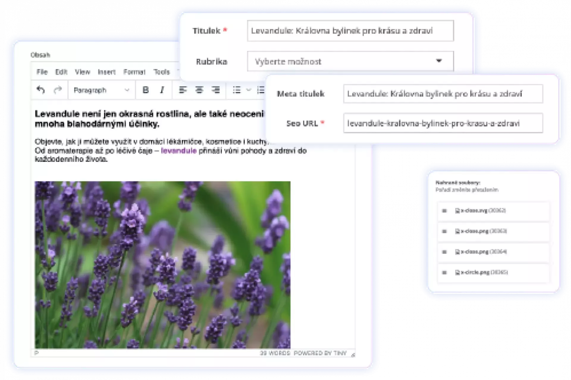 Website Administration